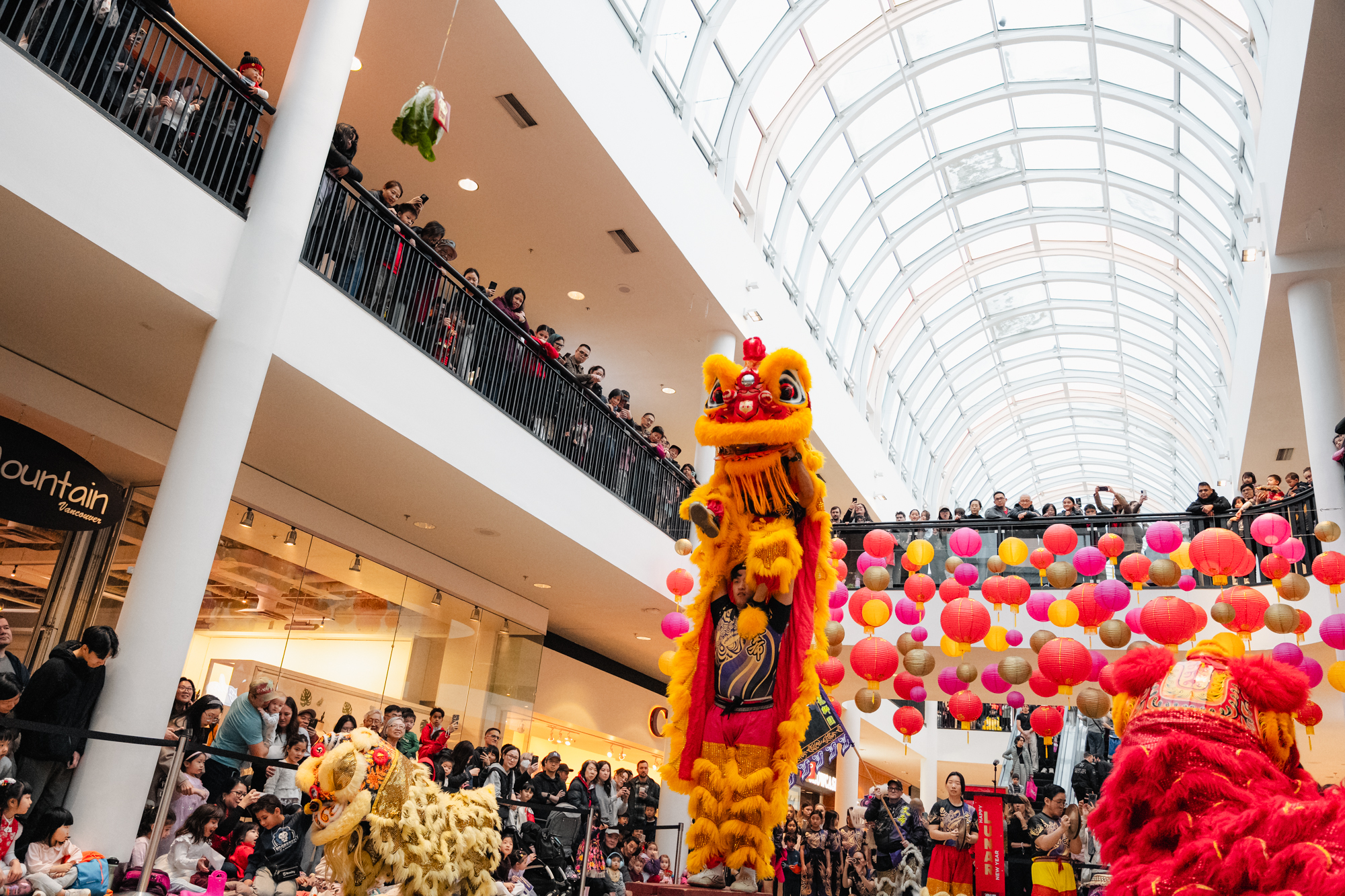 Lunar New Year at the Centre