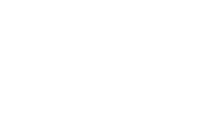 Baskin Robbins