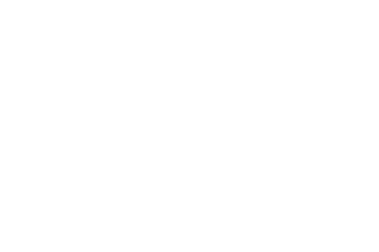 Daniadown Quilts