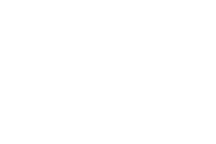 Fido
