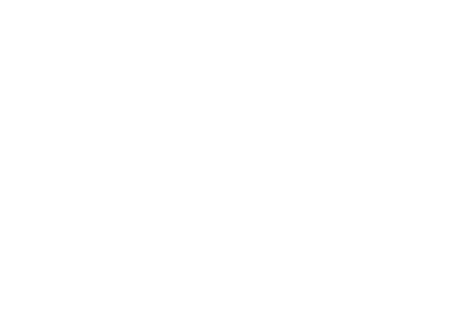 Manchu Wok