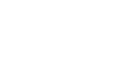 The Shoe Company