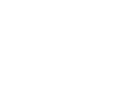 Zesty Lemon